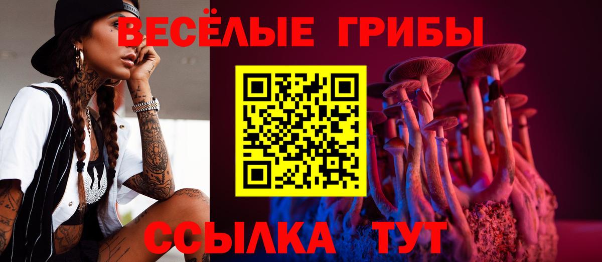 Менделеевск  Псилоцибиновые грибы мухоморы  Вход с VPN 
